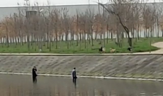 Köpeklerin korkusundan dereye kaçtılar, köpekler çıkmalarını bekledi