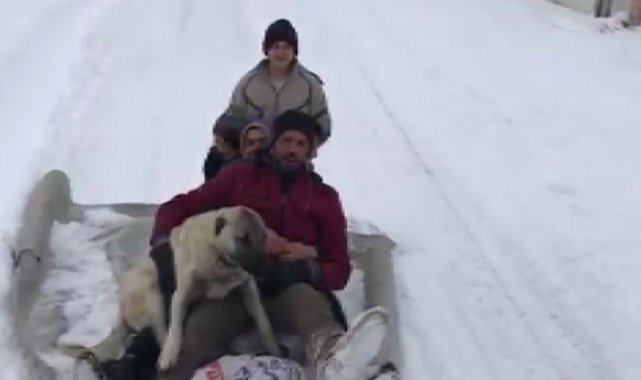 Köpeklerini de yanlarına aldılar, kanepeyle doyasıya kaydılar