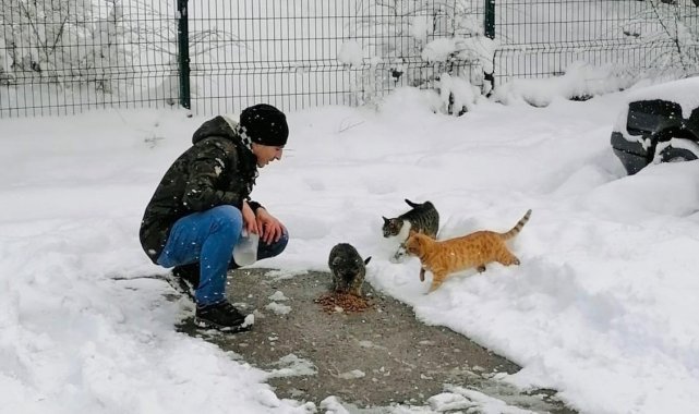 Körfez&#039;de sokak hayvanlarına mama desteği