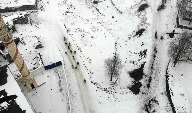 Köy çocukları karın keyfini kızaklarla çıkarıyor