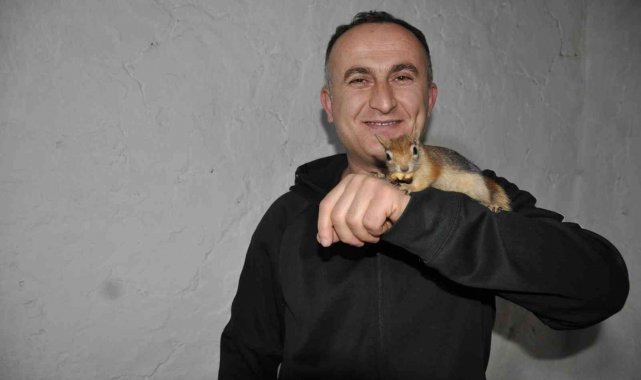 Köy öğretmeni evinde beslediği sincaba çocuğu gibi bakıyor