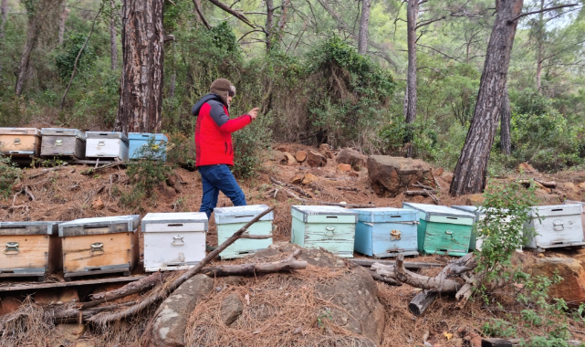 Köyceğiz&#039;de Arılı Kovan Desteklemesine Esas Tespitler Yapıldı