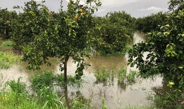 Köyceğiz'de aşırı yağışların meydana getirdiği zararlarla ilgili ön inceleme başlatıldı
