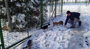 Küçükçekmece Belediyesi soğuk havalarda sokak hayvanlarını unutmuyor