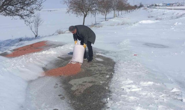Kulu'da yaban hayvanlarına yem bırakıldı