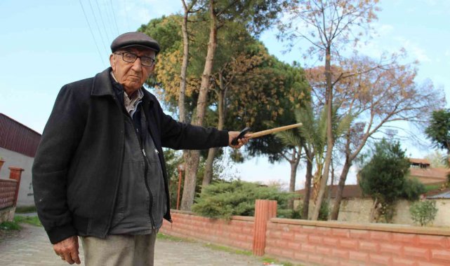 Kuraklık köyün gri balıkçıl misafirlerini küstürdü