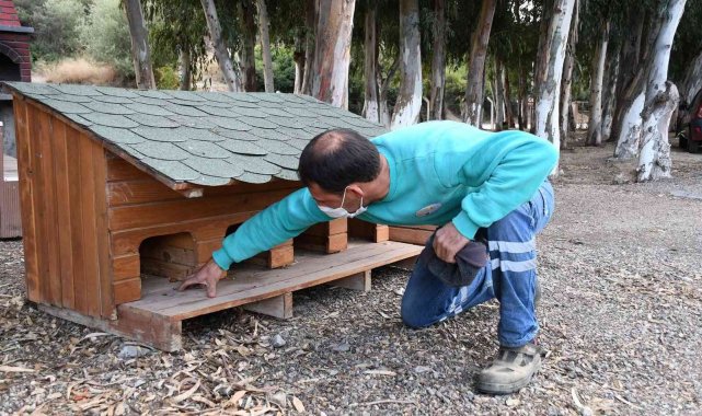 Kuşadası Belediyesi soğuk havada can dostlarını unutmadı