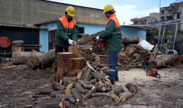 Kuşadası'nda ağaç atıkları ihtiyaç sahipleri için kara kışta yakacağa dönüşüyor