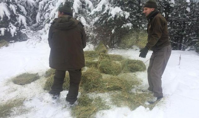Kütahya DKMP'den yaban hayvanları için yemleme çalışması
