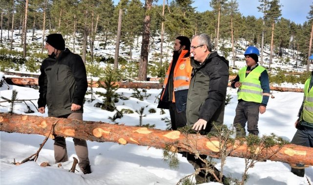Kütahya ormanlarında silvikültür çalışması
