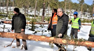 Kütahya ormanlarında silvikültür çalışması