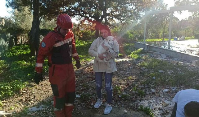 Kuyuya düşen köpek için seferber oldular