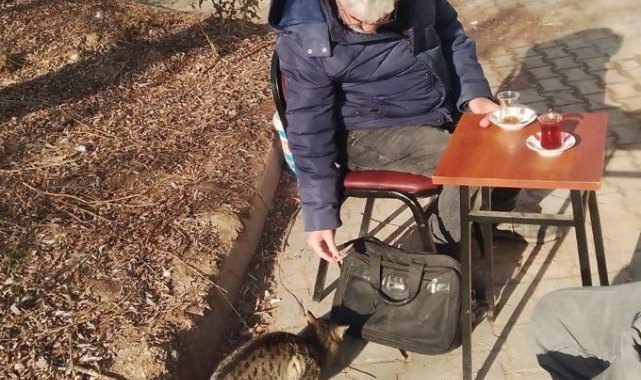 Mahalle kedileri onlar sayesinde doyuyor