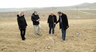 Malatya'da dut üretimi yaygınlaşıyor