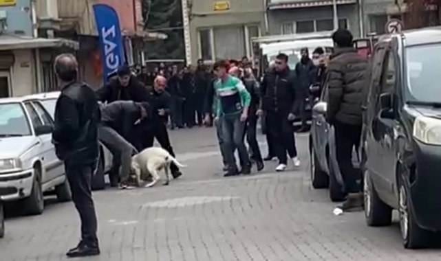 Malatya'daki pitbullu saldırı anı kamerada