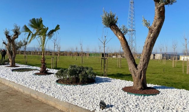 Manisa'ya 20 bin metrekarelik yeşil alan kazandırıldı