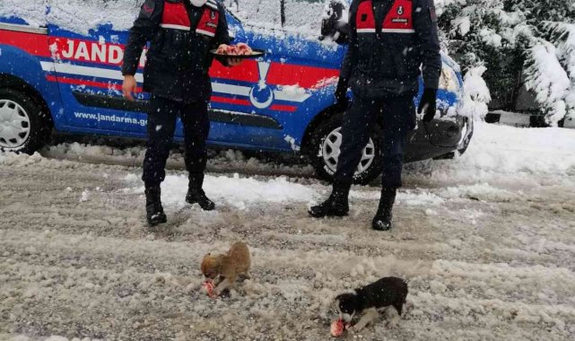 Manyas&#039;ta kar yağışı etkili oluyor