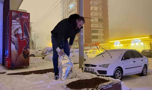 Mardin Büyükşehir Belediyesinden sokak hayvanlarına düzenli mama dağıtımı