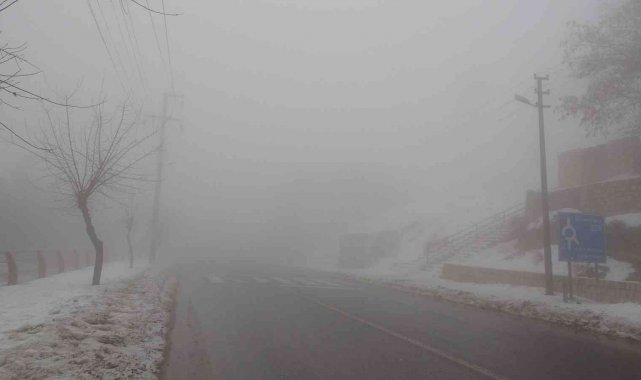 Mardin, yoğun sise teslim