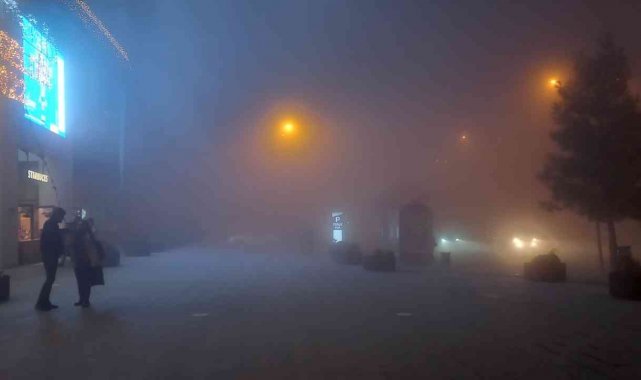 Mardin'de etkili olan sis sürücülere zor anlar yaşattı