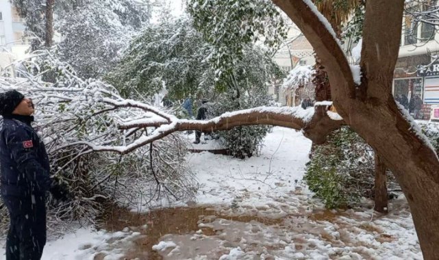 Mardin&#039;de karın ağırlığına dayanamayan ağaç dalları kırıldı