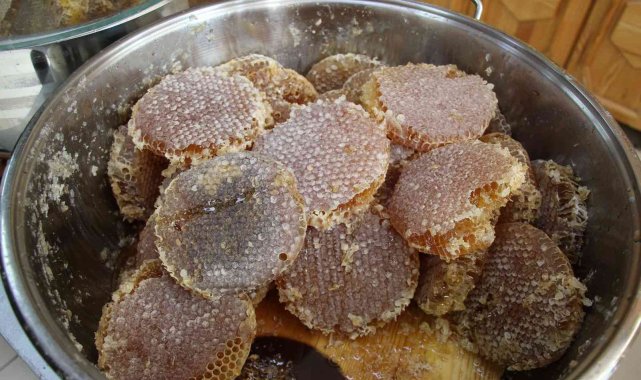 Mardin'de kış hastalıklarının şifa kaynağı Uludere çam balı ve keçiboynuzu