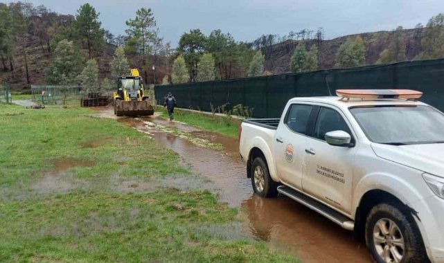 Marmaris Belediyesi, selde can dostları unutmadı