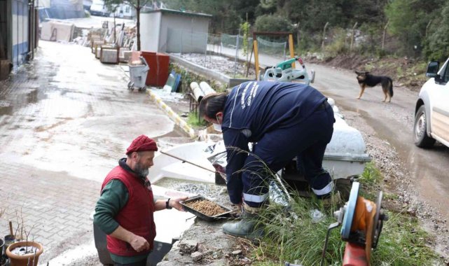 Marmaris Belediyesi sokaktaki canları yalnız bırakmadı
