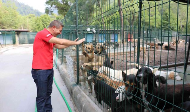 Marmaris Belediyesi, tüm dostlar için seferber oldu