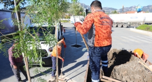 Marmaris'in Kaldırımları Yemyeşil Oluyor