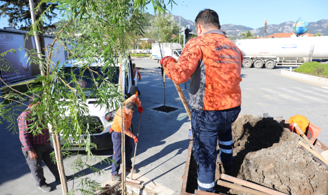 Marmaris&#039;in Kaldırımları Yemyeşil Oluyor