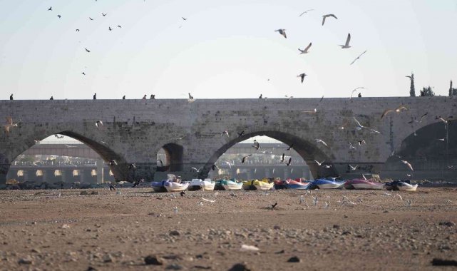 Martılar görsel şölen oluşturdu