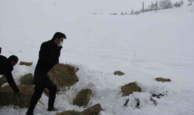Mecitözü&#039;nde yaban hayvanları için doğaya yem bırakıldı