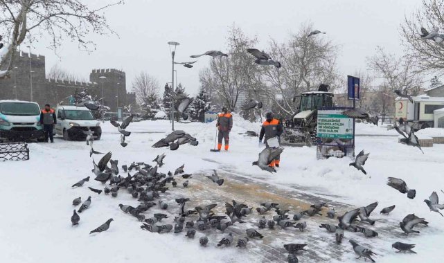 Melikgazi soğuk kış günlerinde sokak hayvanlarını unutmadı