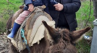 Memleket Partisi Genel Başkanı Muharrem İnce, torununu eşekle gezdirdi