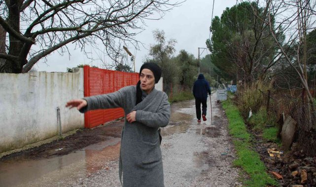 Menderes'te başıboş köpekler, mahallelinin kabusu oldu