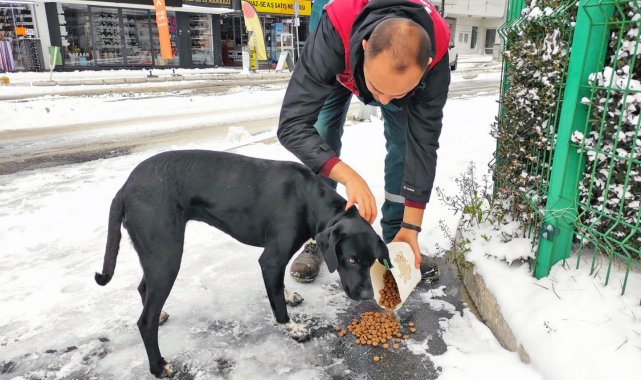 Menteşe'de can dostlar unutulmadı