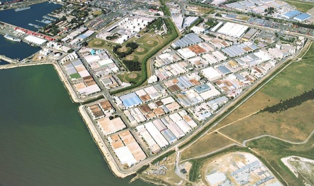 Mersin Serbest Bölgesi, zor koşulları aşarak ticaret hacmini 3,3 milyar dolara çıkardı