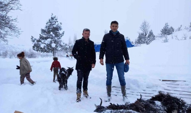 Mersin'de kardan çöken ahırdaki 21 küçükbaş hayvan telef oldu