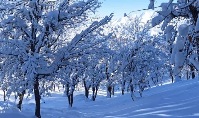 Meteorolojiden Batman ve çevre ileri için kar uyarısı geldi