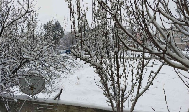 Meteorolojiden Denizlili çiftçilere zirai don uyarısı