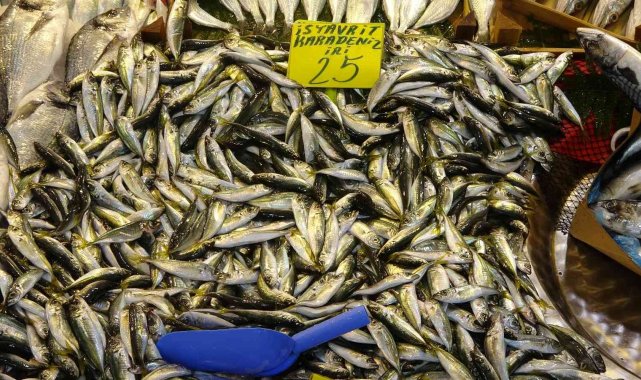 Mevsimin en lezzetli balığı istavrit oldu