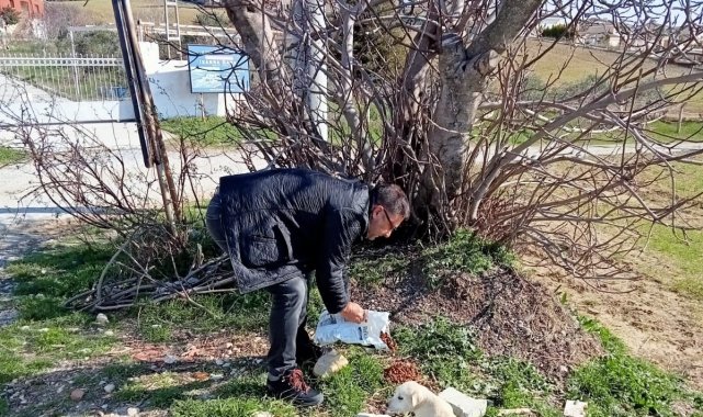 MHP Kuşadası İlçe Başkanı İnan, hafta sonunu hayvanlara ayırdı