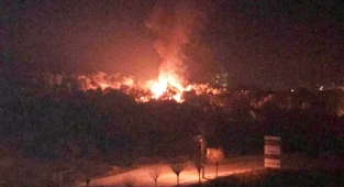 Milas'taki yangında bir kişi yaralandı.