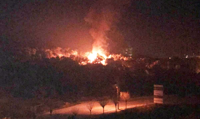 Milas&#039;taki yangında bir kişi yaralandı.