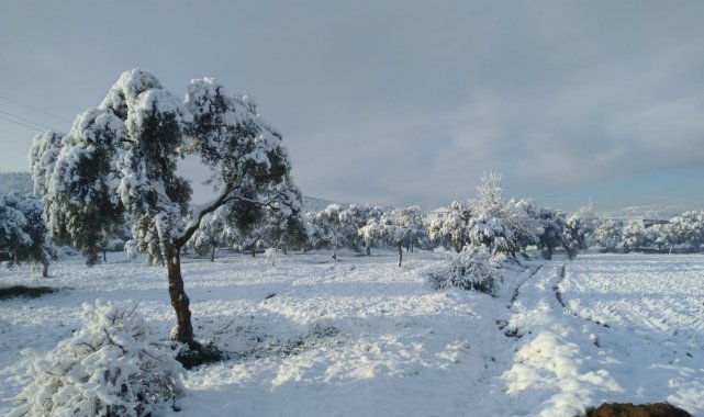 Milas'ın yüksek kesimleri beyaza büründü
