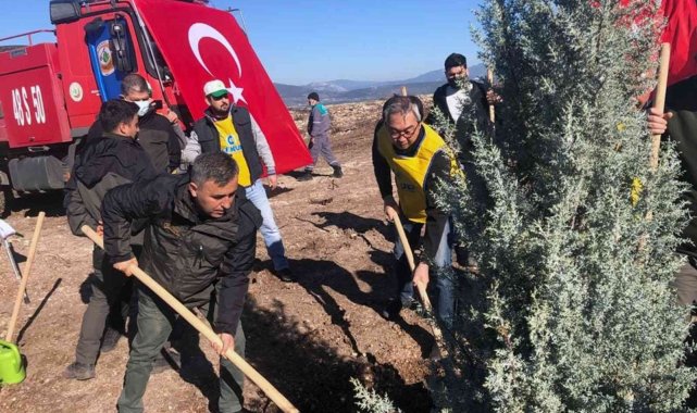 Milas'ta Türk-Kore dostluk ormanı