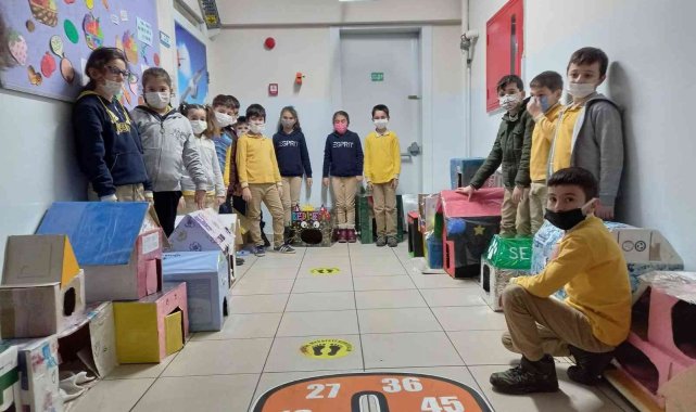 Minikler kedileri "ev"lendirdi