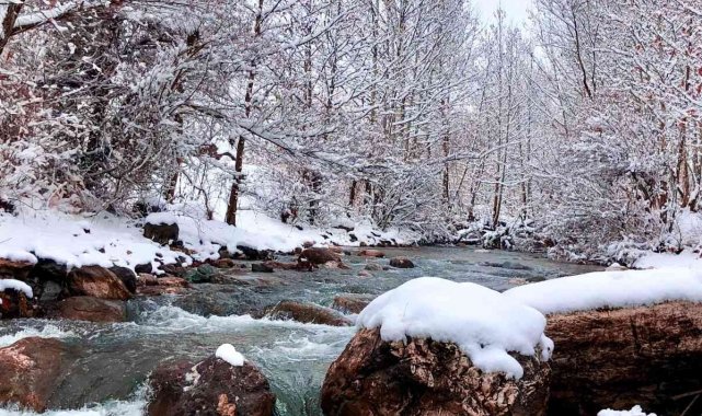 Mirvan Çayı, dört mevsim farklı güzelliğiyle göz kamaştırıyor