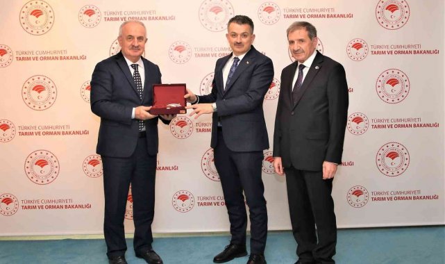 Modern Hayvan Satış Yeri ve Kurban Kesim Alanı projesi onaylandı